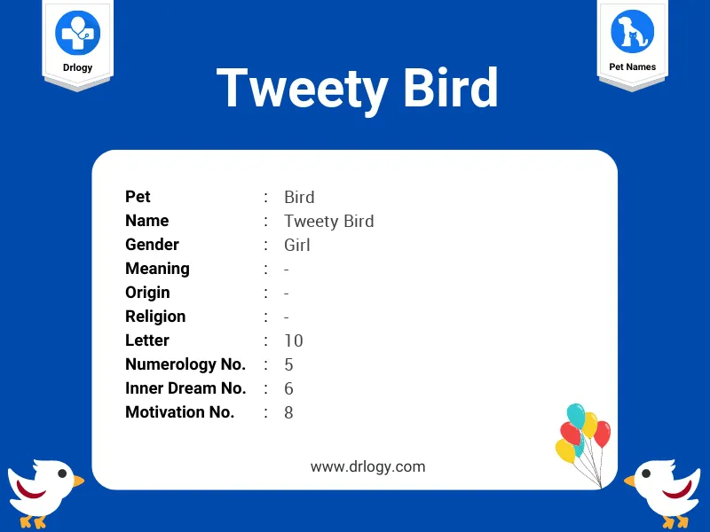 Tweety Bird Name Meaning